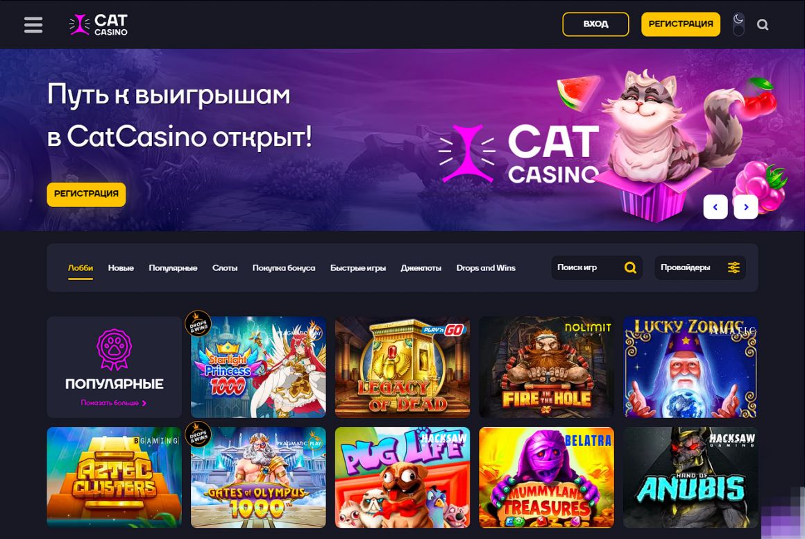 Как игроки оценивают Cat Casino - отзывы и мнения реальных игроков